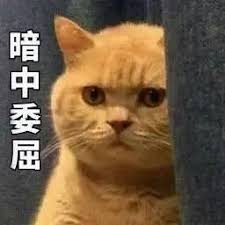 betwinner terms and conditions Li Shanna berkata: Bisakah saya masih memiliki masalah? Apakah saya masih bisa menegosiasikan persyaratan?